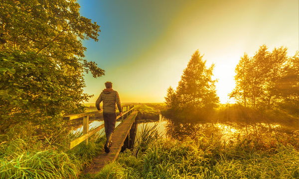 ShalomPath Man on Bridge